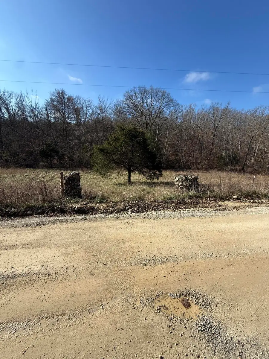 000 Varvel Rd, Willow Springs, MO 65793 - #2