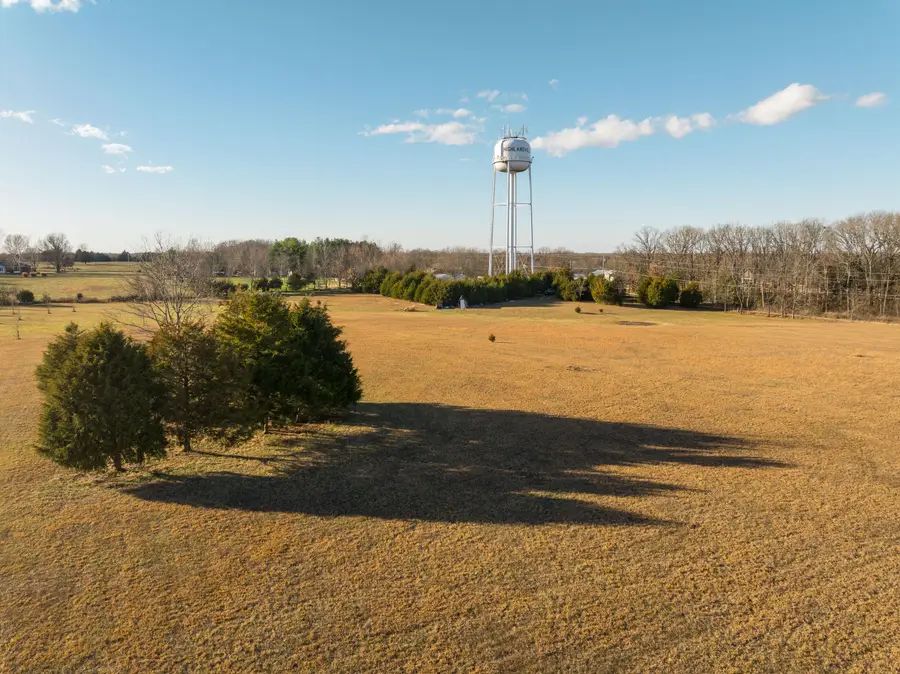 000 Logan Avenue, Highlandville, MO 65669 - #3