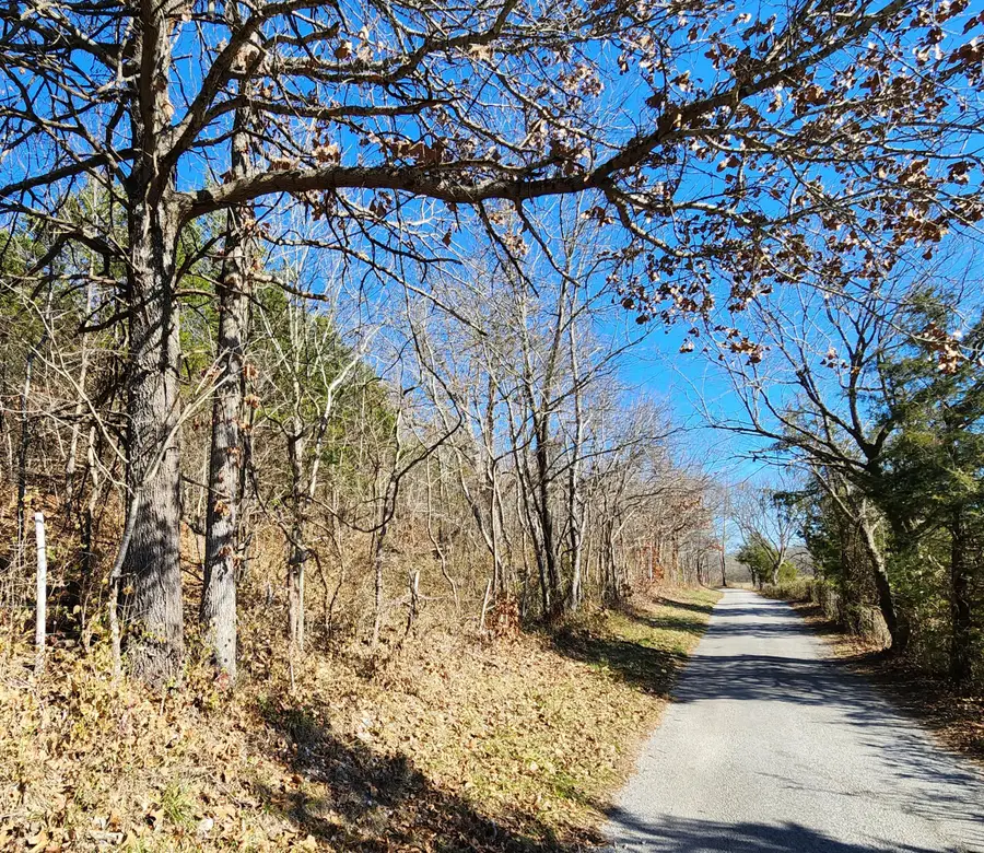 000 Mclean Road, Ozark, MO 65721 - #3