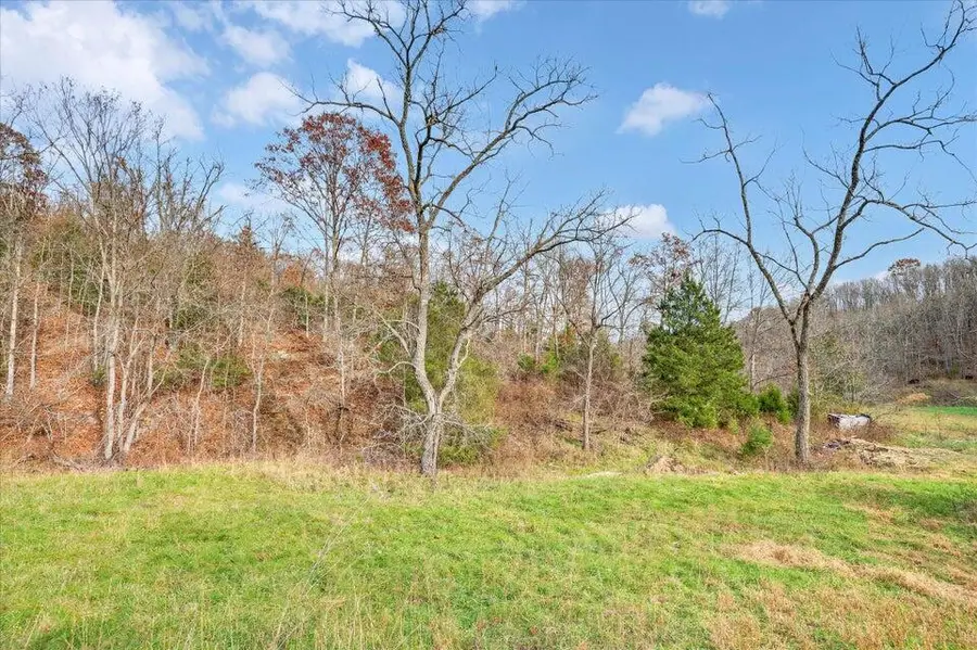 000 Farm Road 1245, Aurora, MO 65605 - Image #2