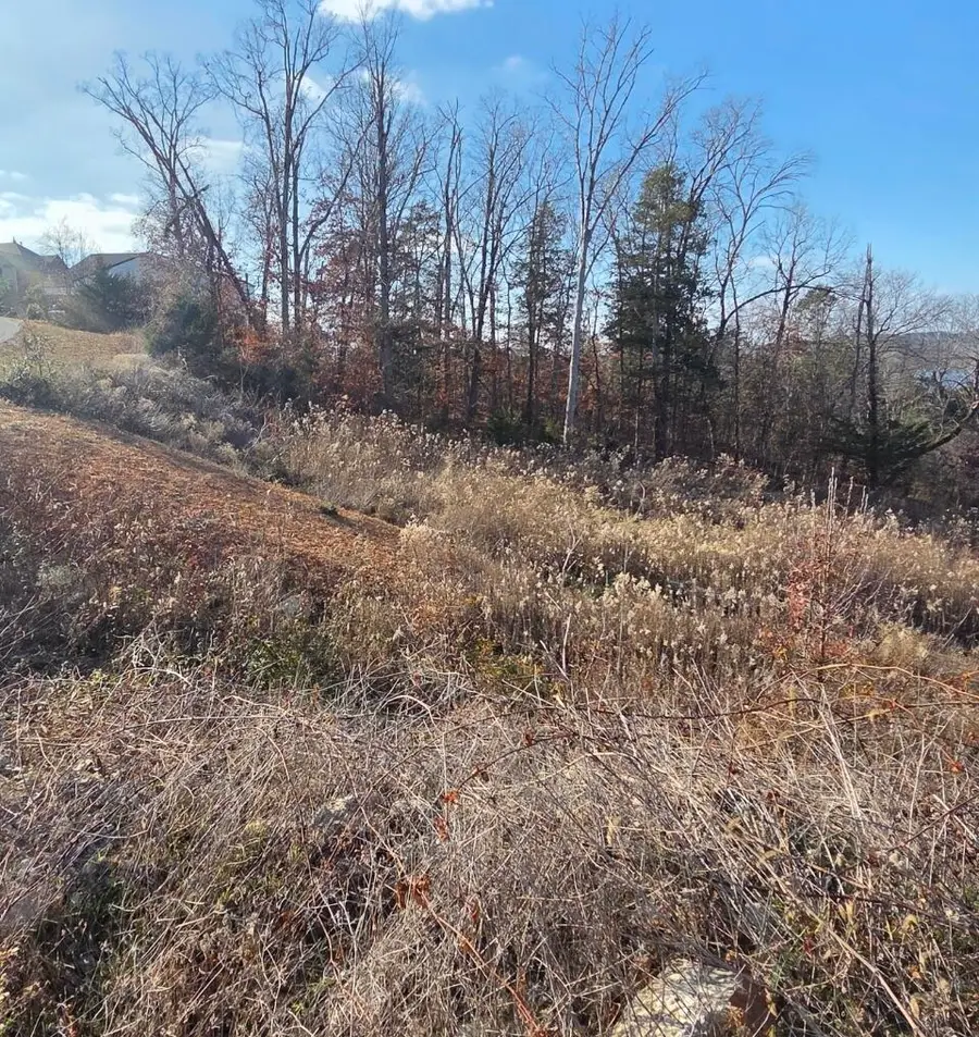 235 Whitefish Bay, Lampe, MO 65681 - Image #3