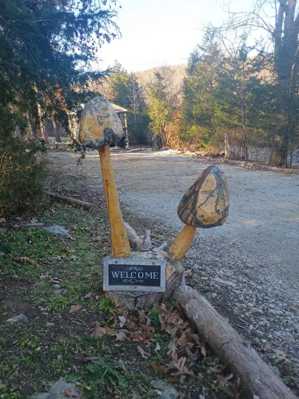 485 State Hwy Ee, Rockaway Beach, MO 65740