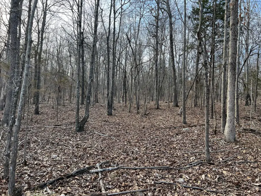 2371 County Road 359, Thayer, MO 65791 - Image #2