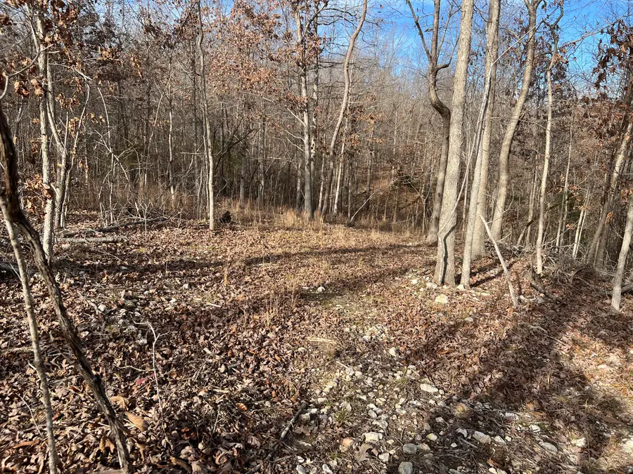 2371 County Road 359, Thayer, MO 65791 - Image #3