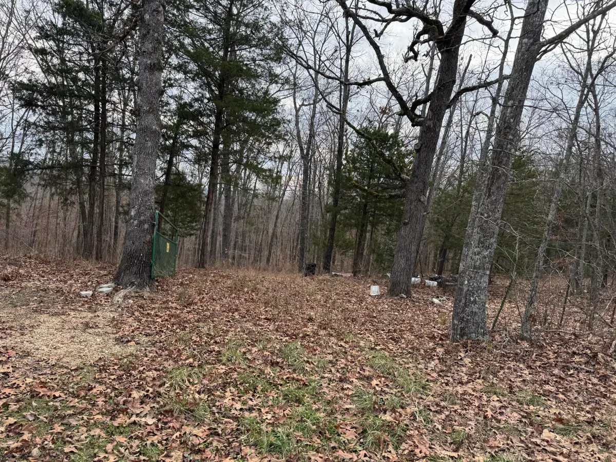 13347 County Road E 76-126, Ava, MO 65608 - Image #1