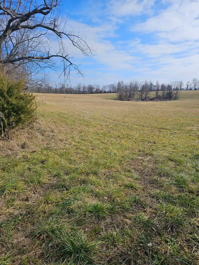 Tract 8 S Farm Road 119, Battlefield, MO 65619 - Image #1