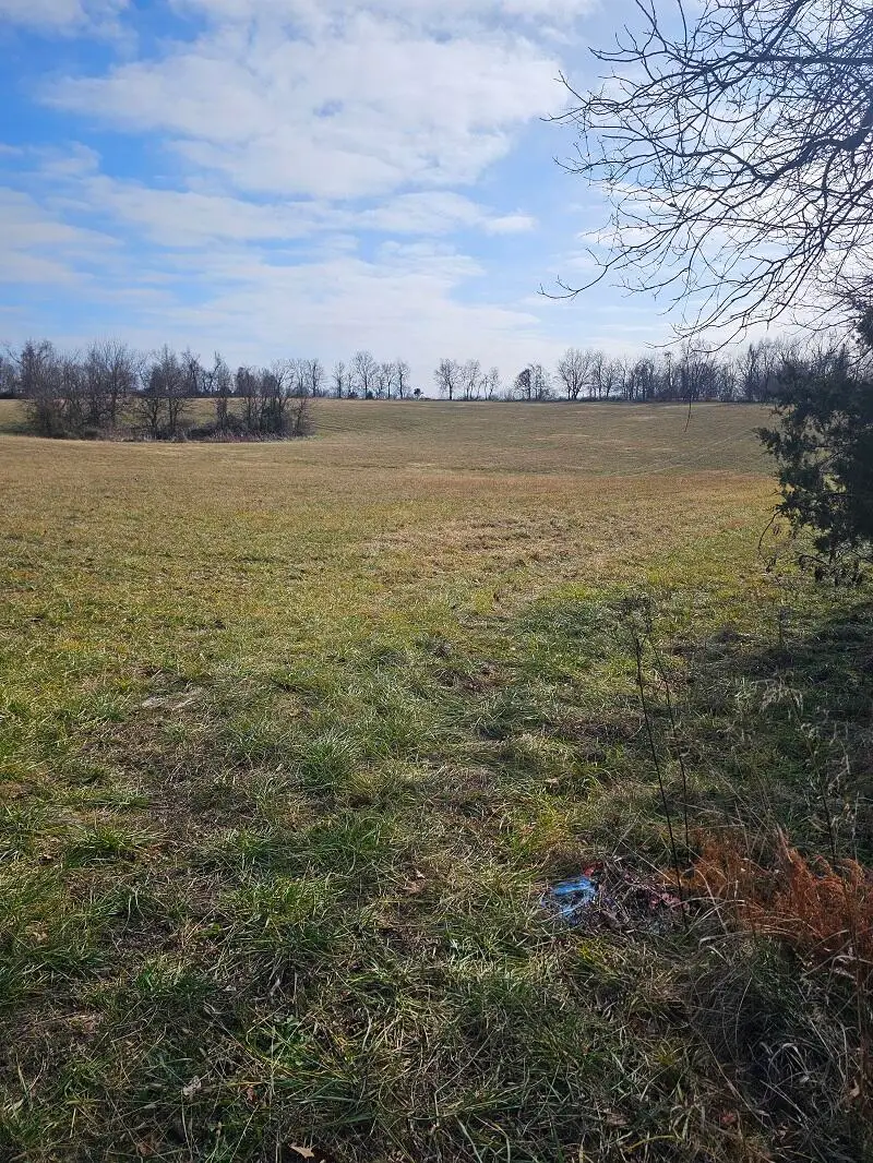 Tract 8 S Farm Road 119, Battlefield, MO 65619 - Image #2