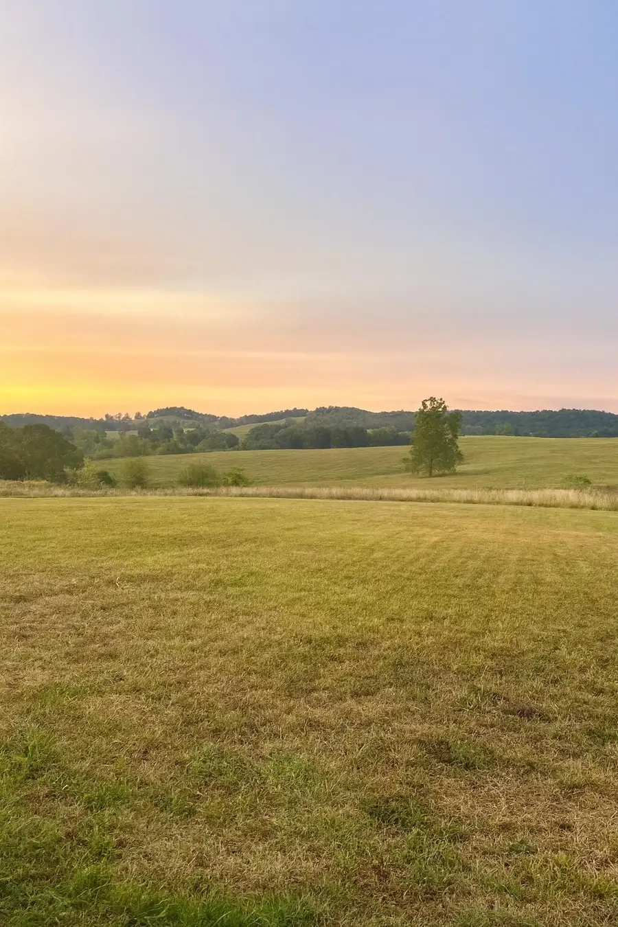 2906 Ryan Lane, Mansfield, MO 65704 - Image #3