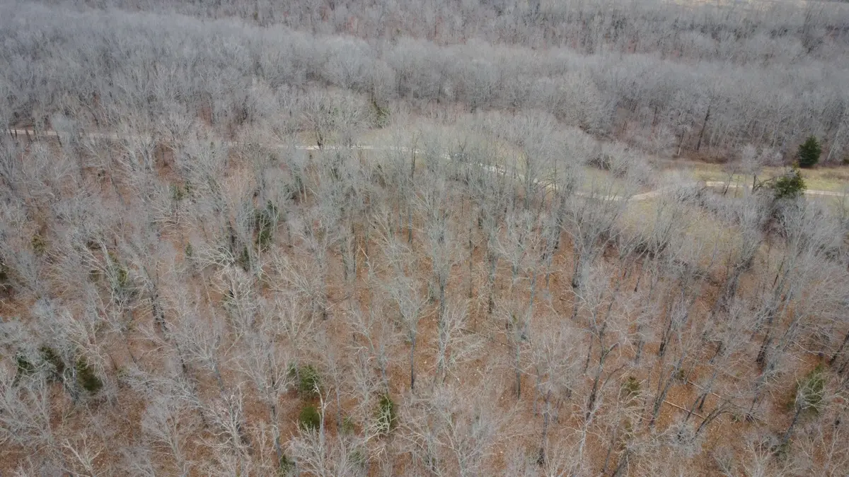 00 E Highway 14 Private Drive #B3, Ava, MO 65608 - Image #1