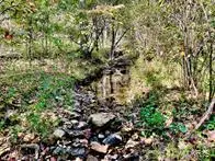 9641 Crane Drive, Bucyrus, MO 65444