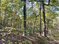 9641 Crane Drive, Bucyrus, MO 65444 - Image #3