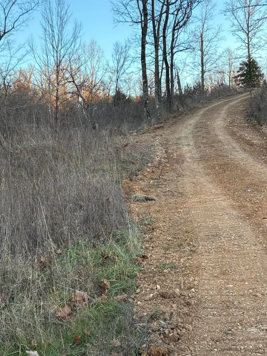 4118 County Road #905, Theodosia, MO 65761 - Image #3