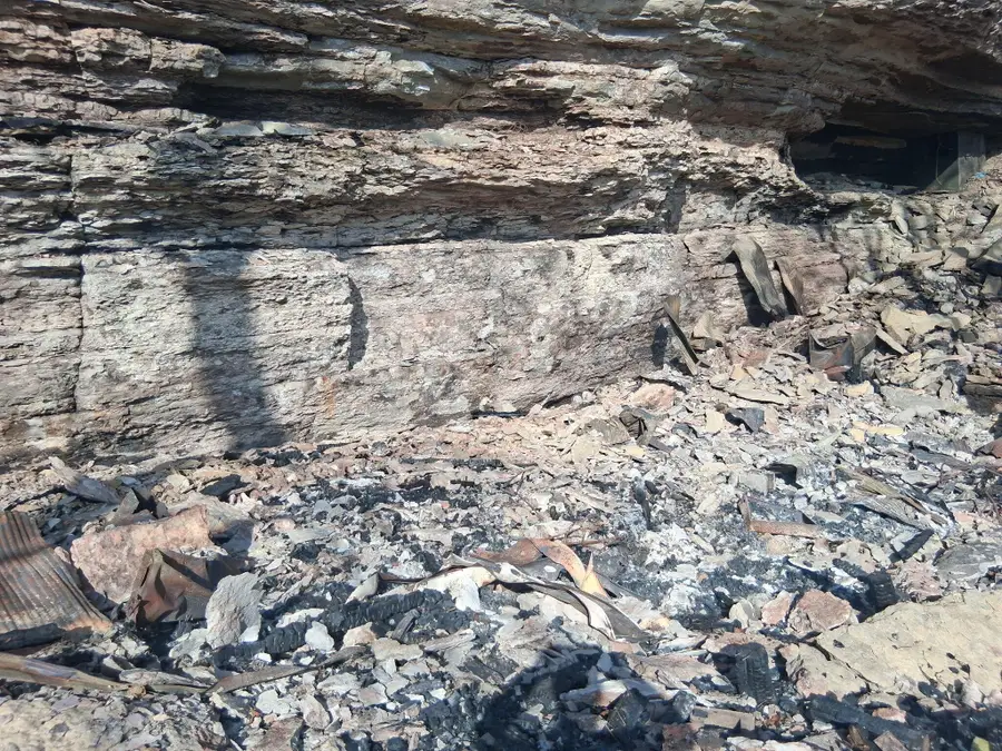 853 Elk Springs Road, Noel, MO 64854 - Image #3