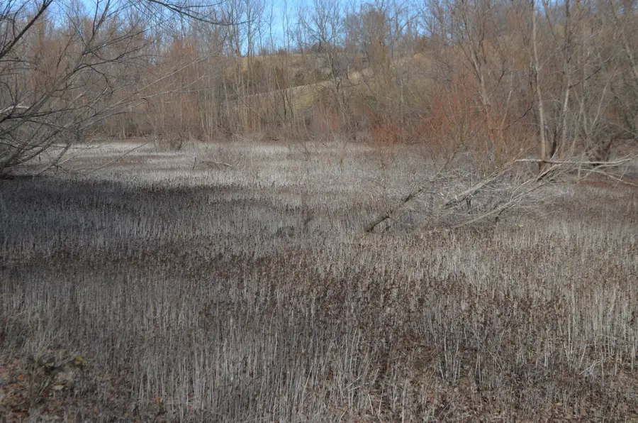 Lots 1-6 Winchester Drive, Fordland, MO 65652 - Image #2