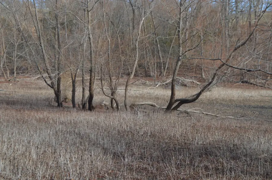 Lots 1-6 Winchester Drive, Fordland, MO 65652 - Image #3