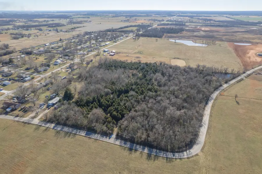 228 Swamp Road, Granby, MO 64844 - Image #3