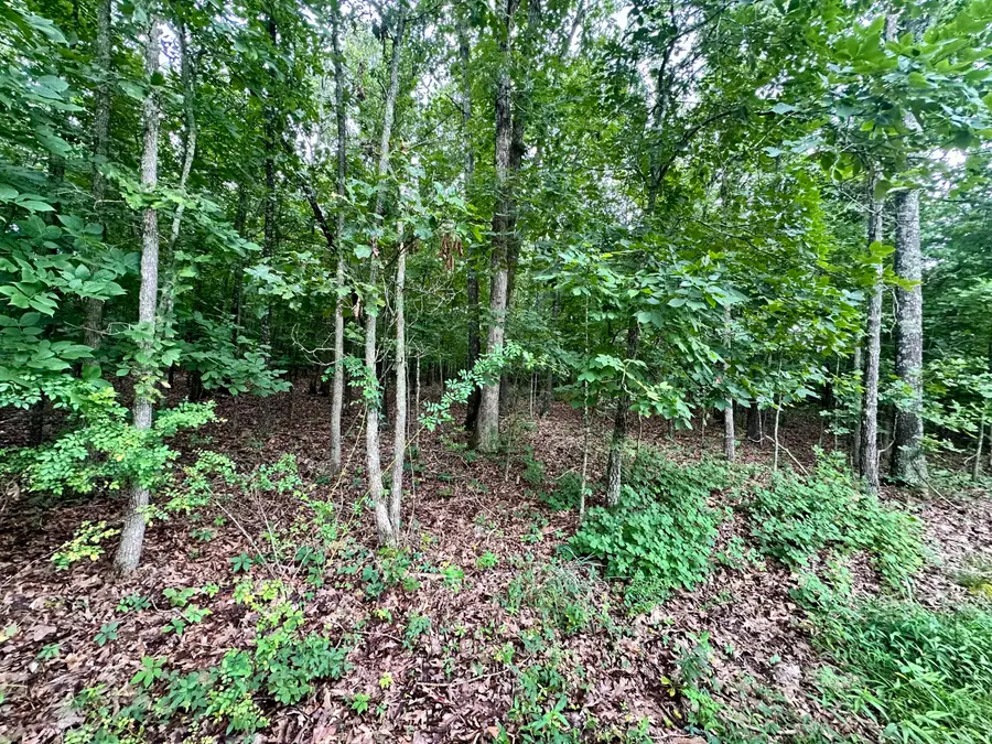 000 Co Rd 4180 Lot 1, Salem, MO 65560 - Image #2