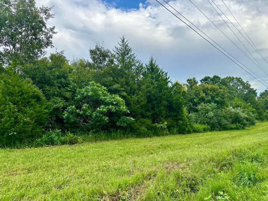 000 Co Rd 4180 Lot 1, Salem, MO 65560 - Image #3