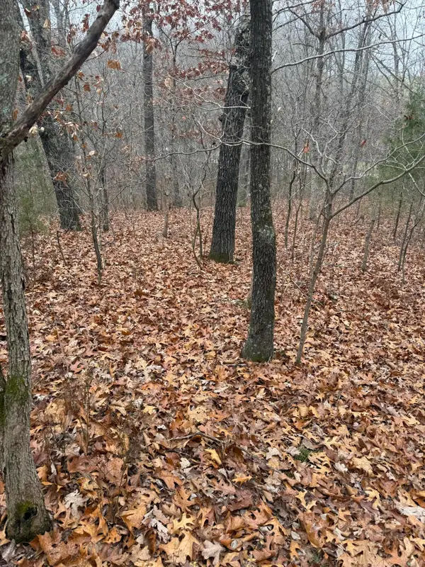 000 Timberline Road, Willow Springs, MO 65793