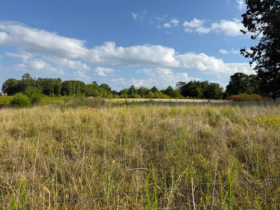 000 Highway F, Stotts City, MO 65756 - Image #2