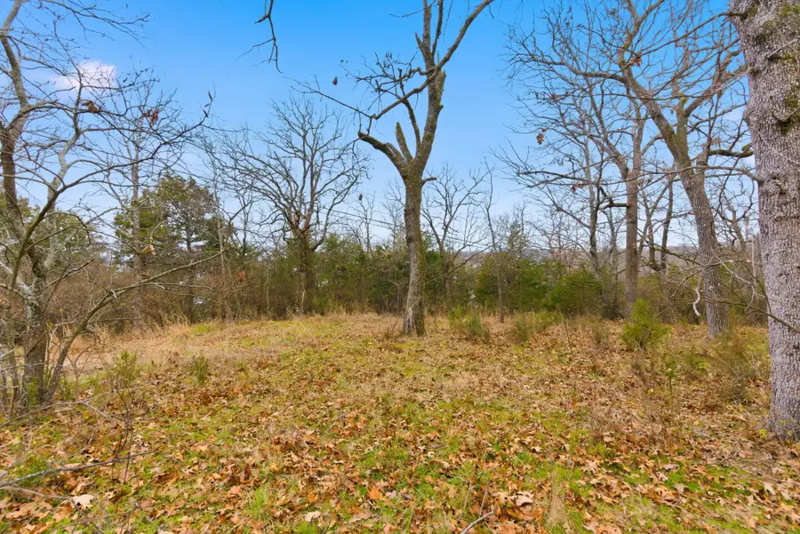 251 Pine Street, Branson, MO 65616 - Image #3