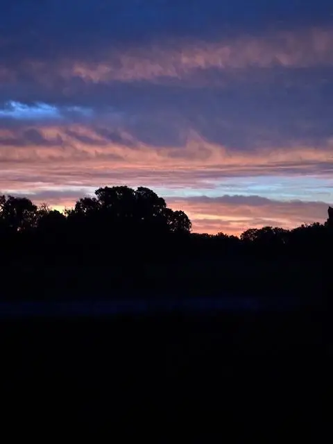 25 Acres S 90th Road, Flemington, MO 65650 - #1