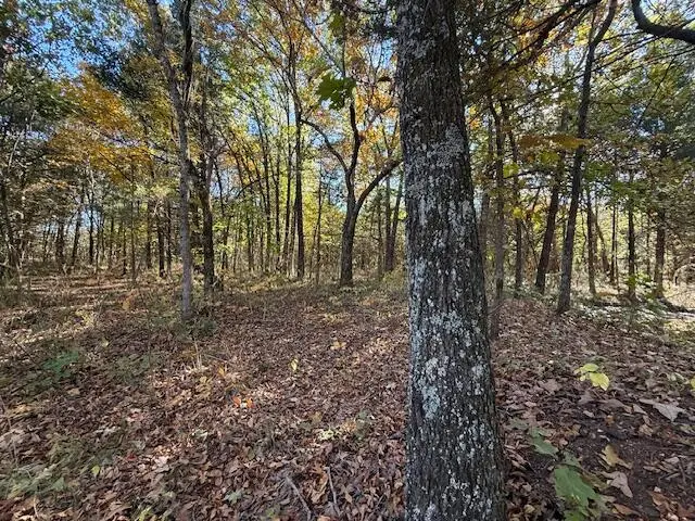 25 Acres S 90th Road, Flemington, MO 65650 - #2