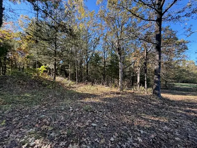 25 Acres S 90th Road, Flemington, MO 65650 - #3