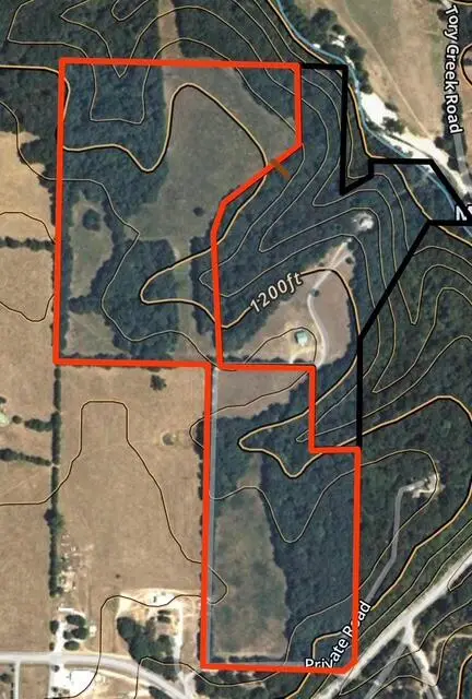 003 State Hwy O, Highlandville, MO 65669 - Image #2