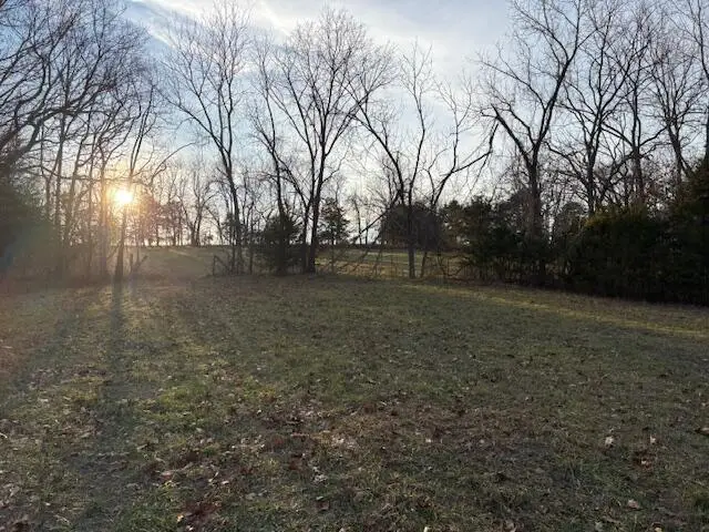 003 State Hwy O, Highlandville, MO 65669 - Image #3