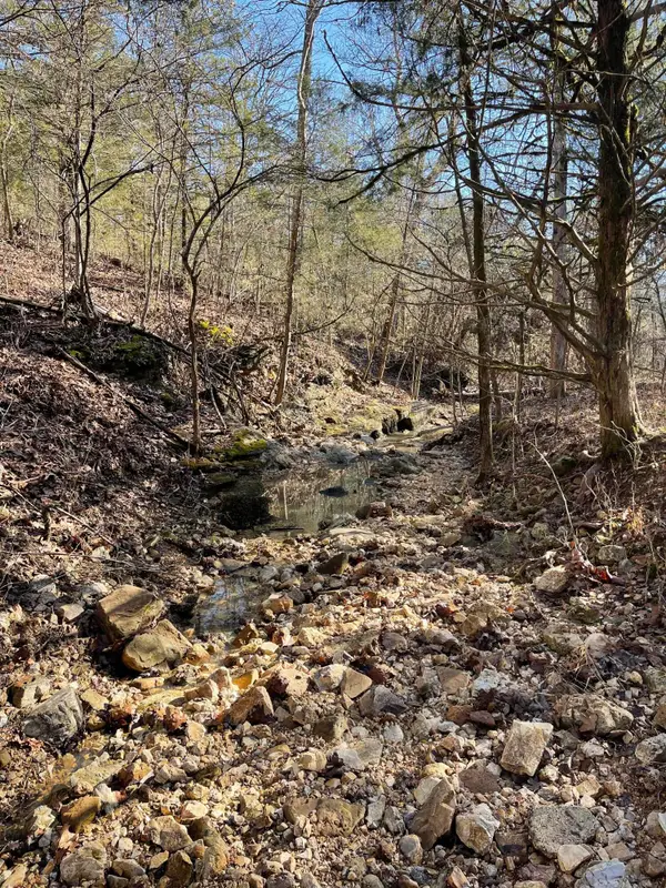 000 Us Hwy 160, Gainesville, MO 65655