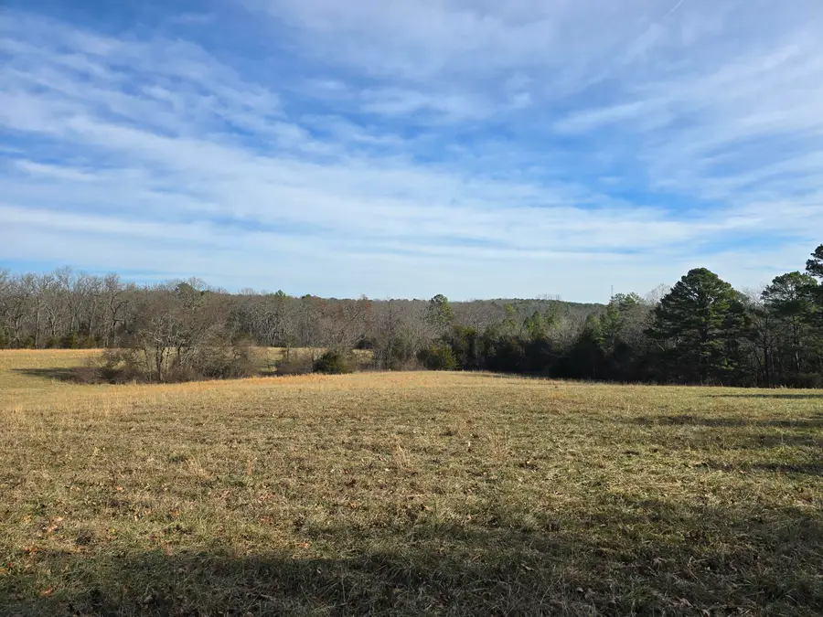 000 Airport Road, Houston, MO 65483 - Image #3