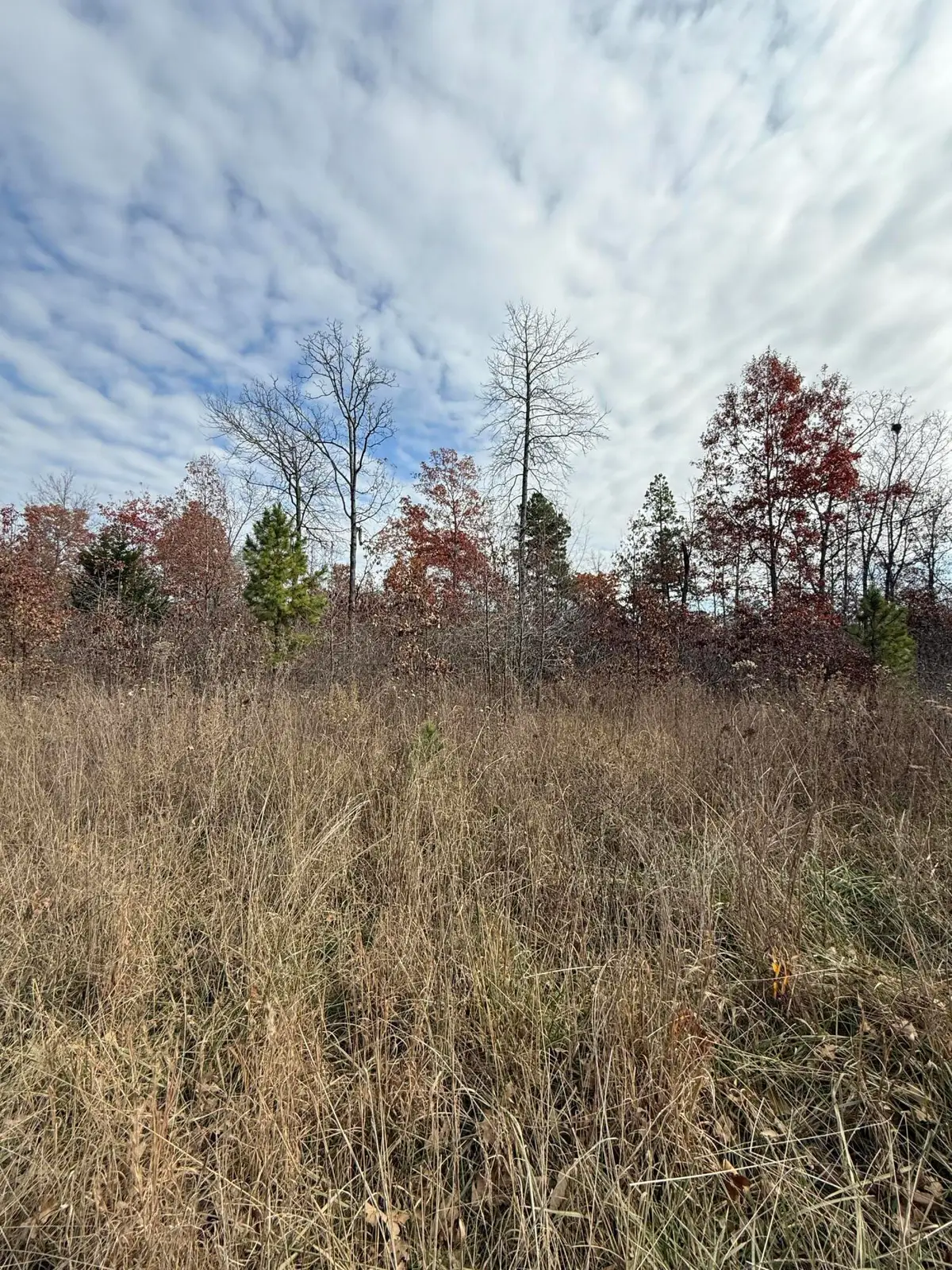 000 Forest Road 3169, Winona, MO 65588 - Image #1