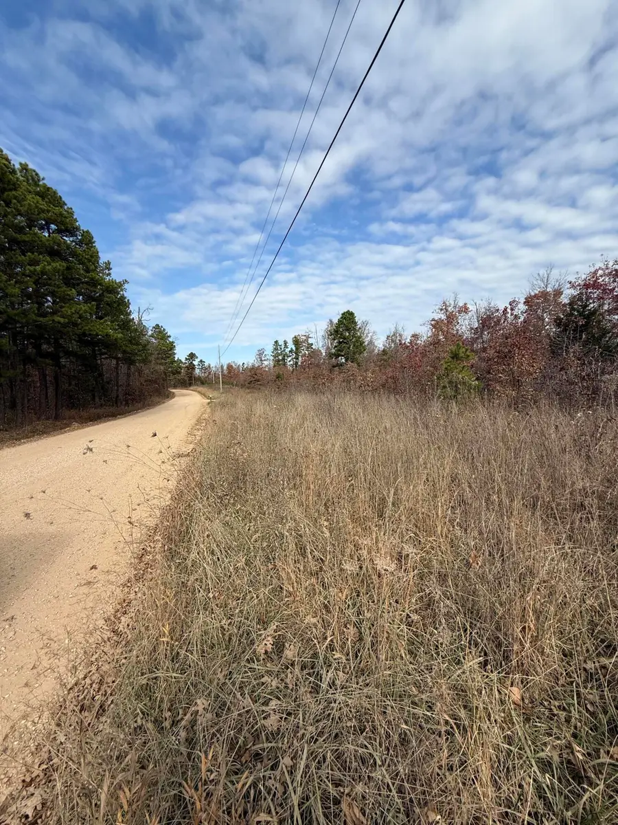 000 Forest Road 3169, Winona, MO 65588 - Image #2