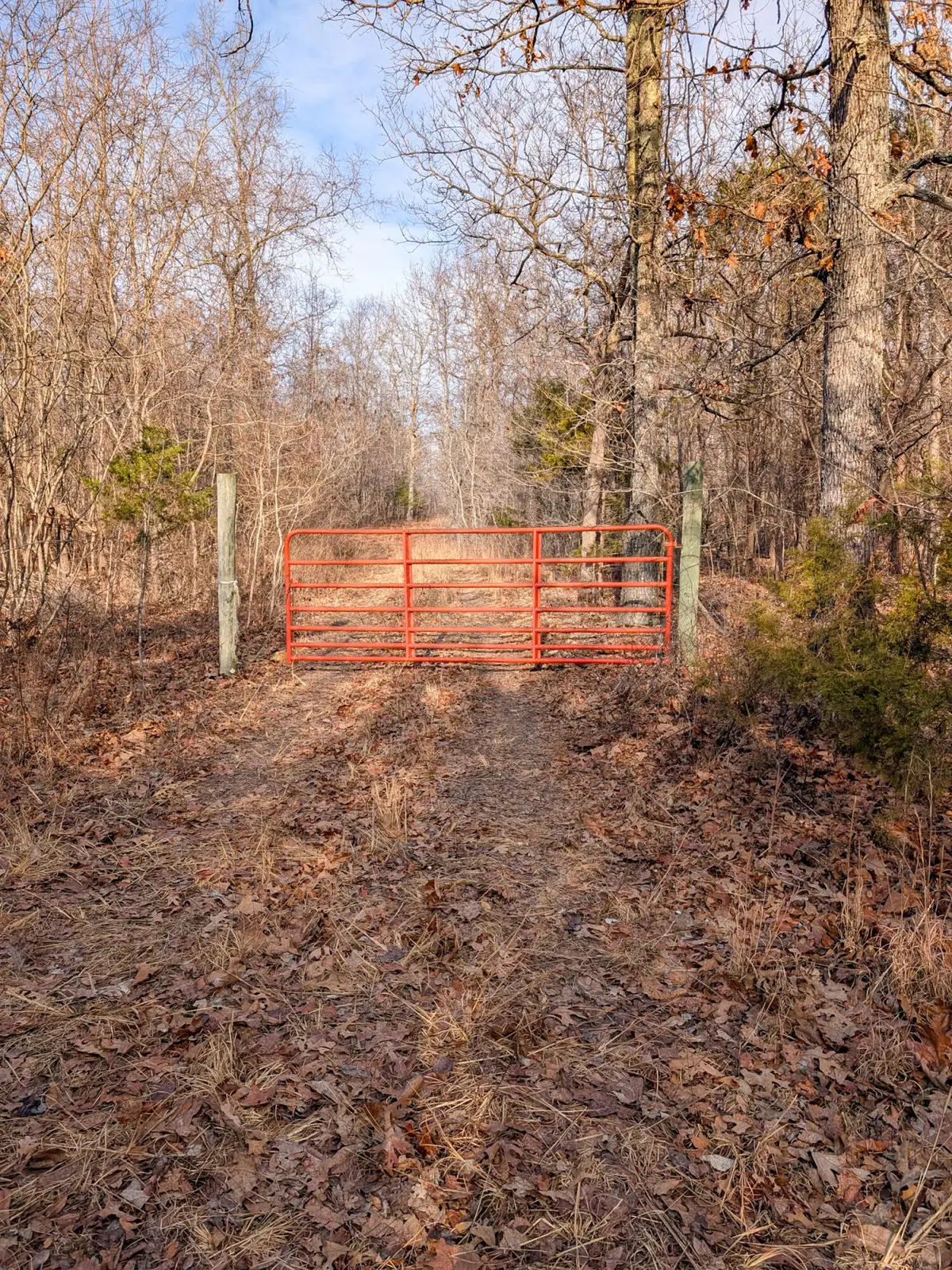 000 N Highway E, Hartville, MO 65667 - Image #1