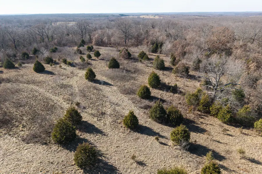 000 S Us Hwy 63, Edgar Springs, MO 65462 - Image #3