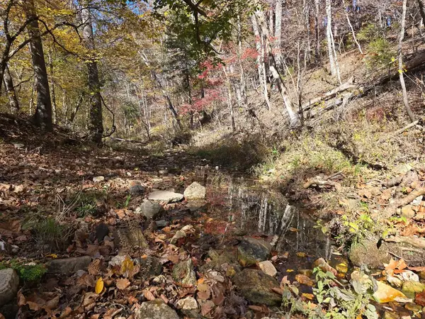 000 Mineral Dr. Lot 2, Houston, MO 65483