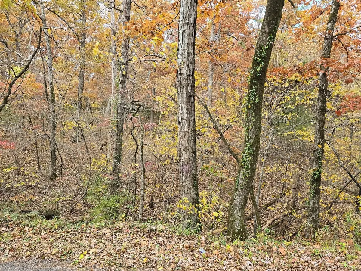 000 Mineral Dr. Lot 3, Houston, MO 65483 - Image #1