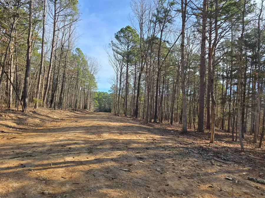 000 Mineral Dr. Lot 3, Houston, MO 65483 - Image #3