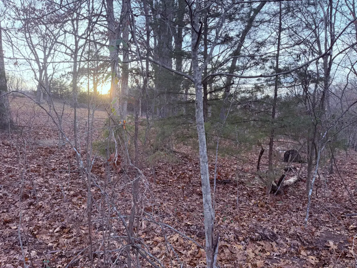 000 N Dade 173, Greenfield, MO 65661 - Image #1