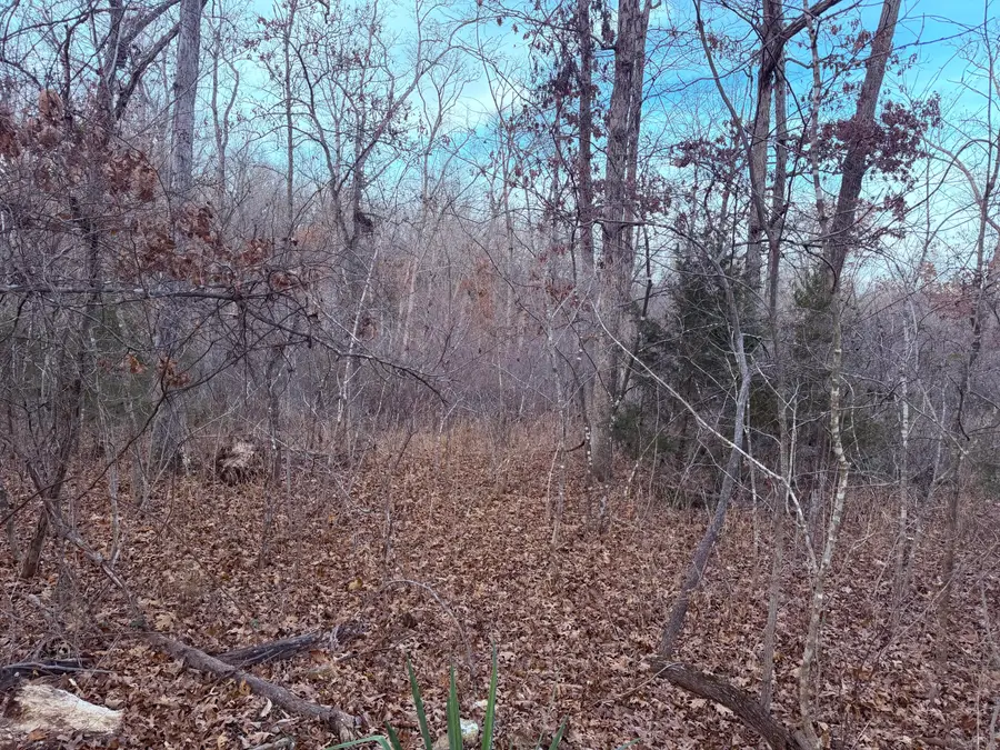 000 N Dade 173, Greenfield, MO 65661 - Image #2