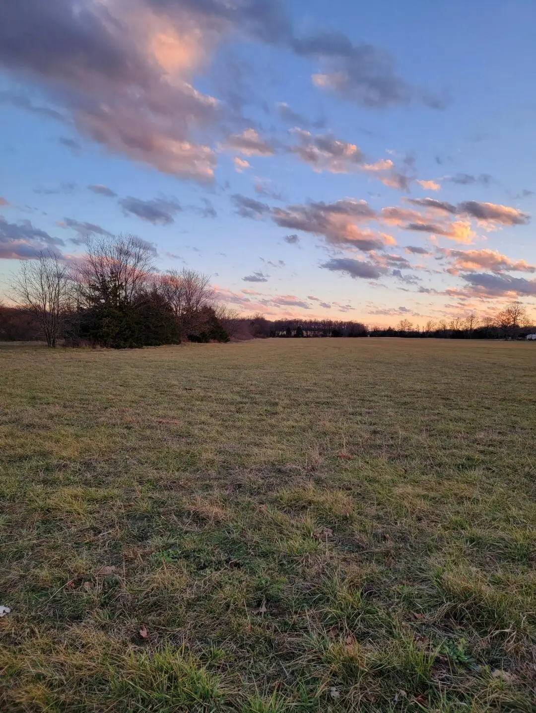 000 Lawrence 2210, Pierce City, MO 65723 - Image #1