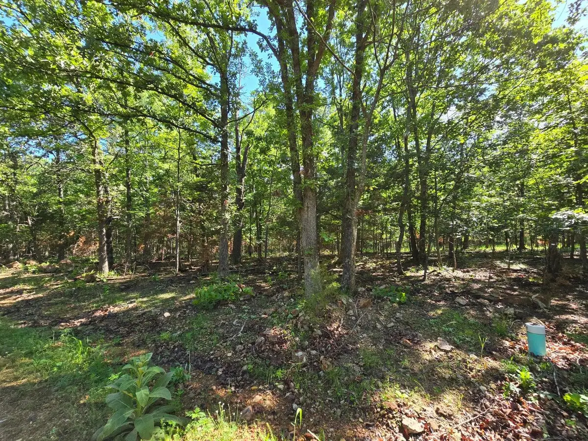 Lot 13 Tall Oaks, Pittsburg, MO 65724 - Image #1