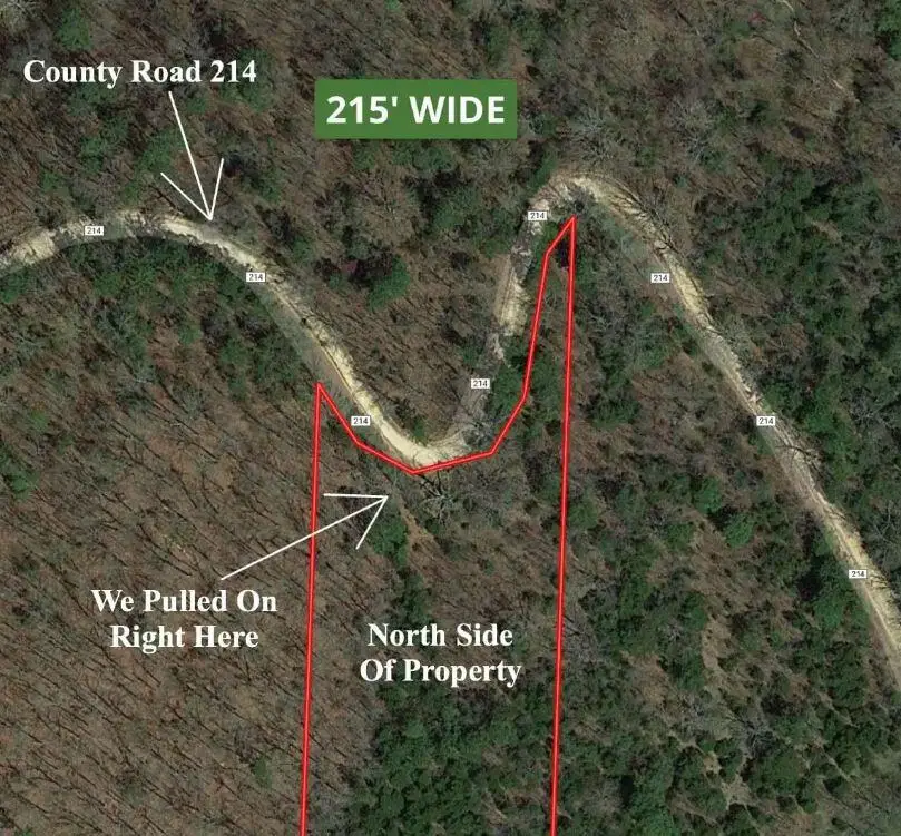 Tbd County Road 214, Ava, MO 65608 - Image #3