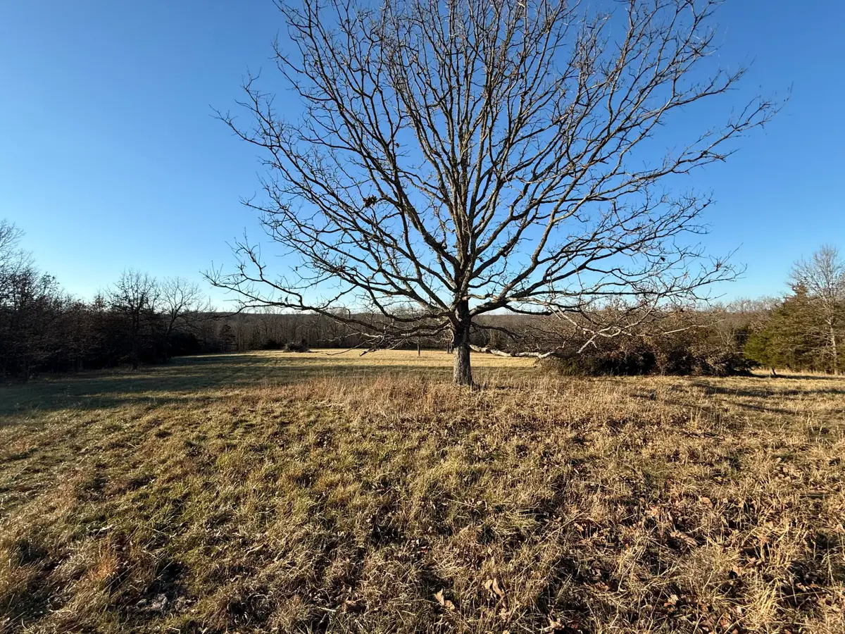 45972 Hwy 72 Tract 5, Salem, MO 65560 - Image #1