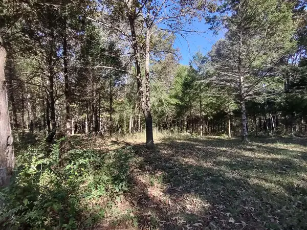 000 State Highway 101, Bakersfield, MO 65609