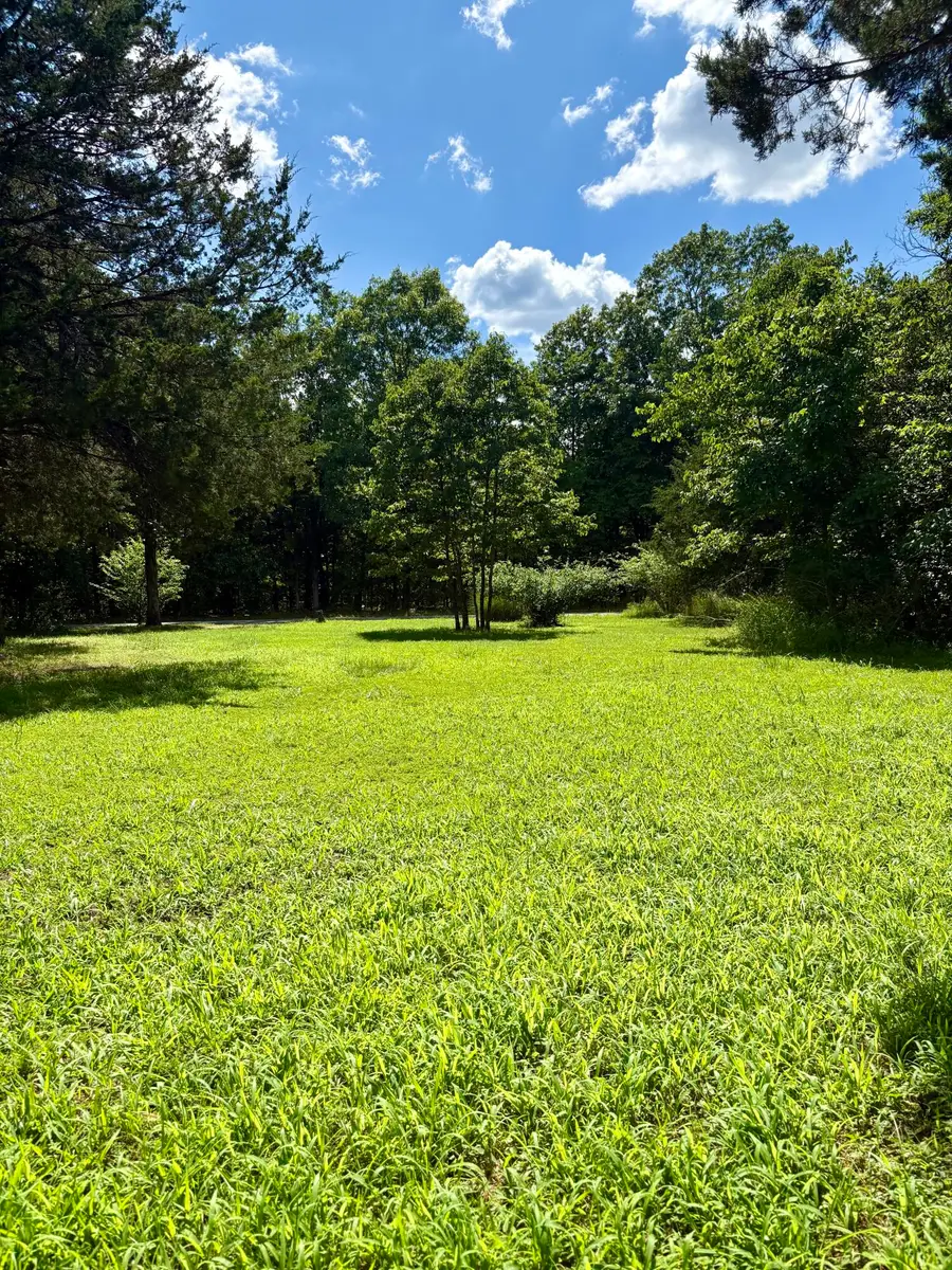 150 Copperhead Road, Cedar Creek, MO 65627 - Image #3