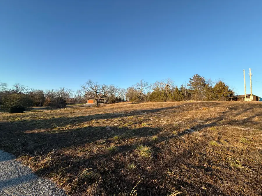 000 Clubhouse Lane, Galena, MO 65656 - Image #3