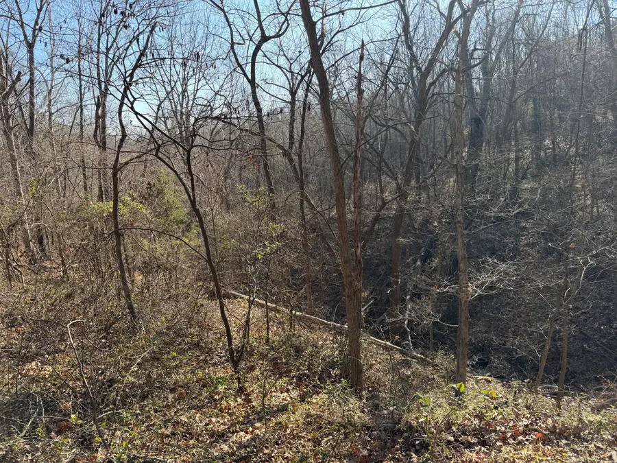 412 Hilltop Road, Noel, MO 64854 - Image #2