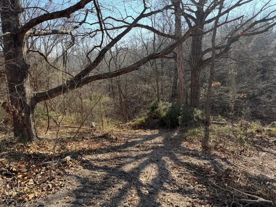 412 Hilltop Road, Noel, MO 64854 - Image #3